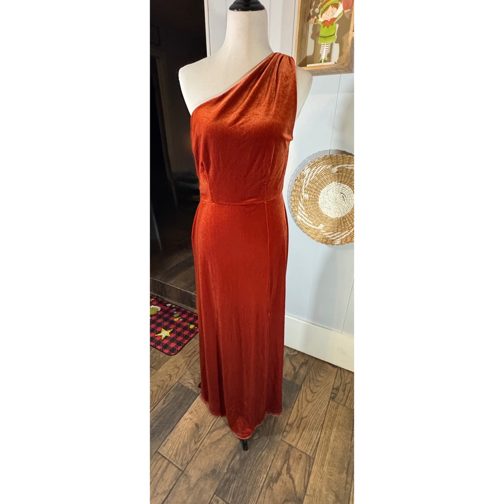 Birdy Grey One-Shoulder Maxi Dress in Rust, Burnt Orange
